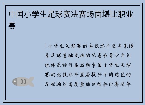 中国小学生足球赛决赛场面堪比职业赛